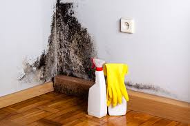 Best Industrial Mold Remediation  in Franklin, PA